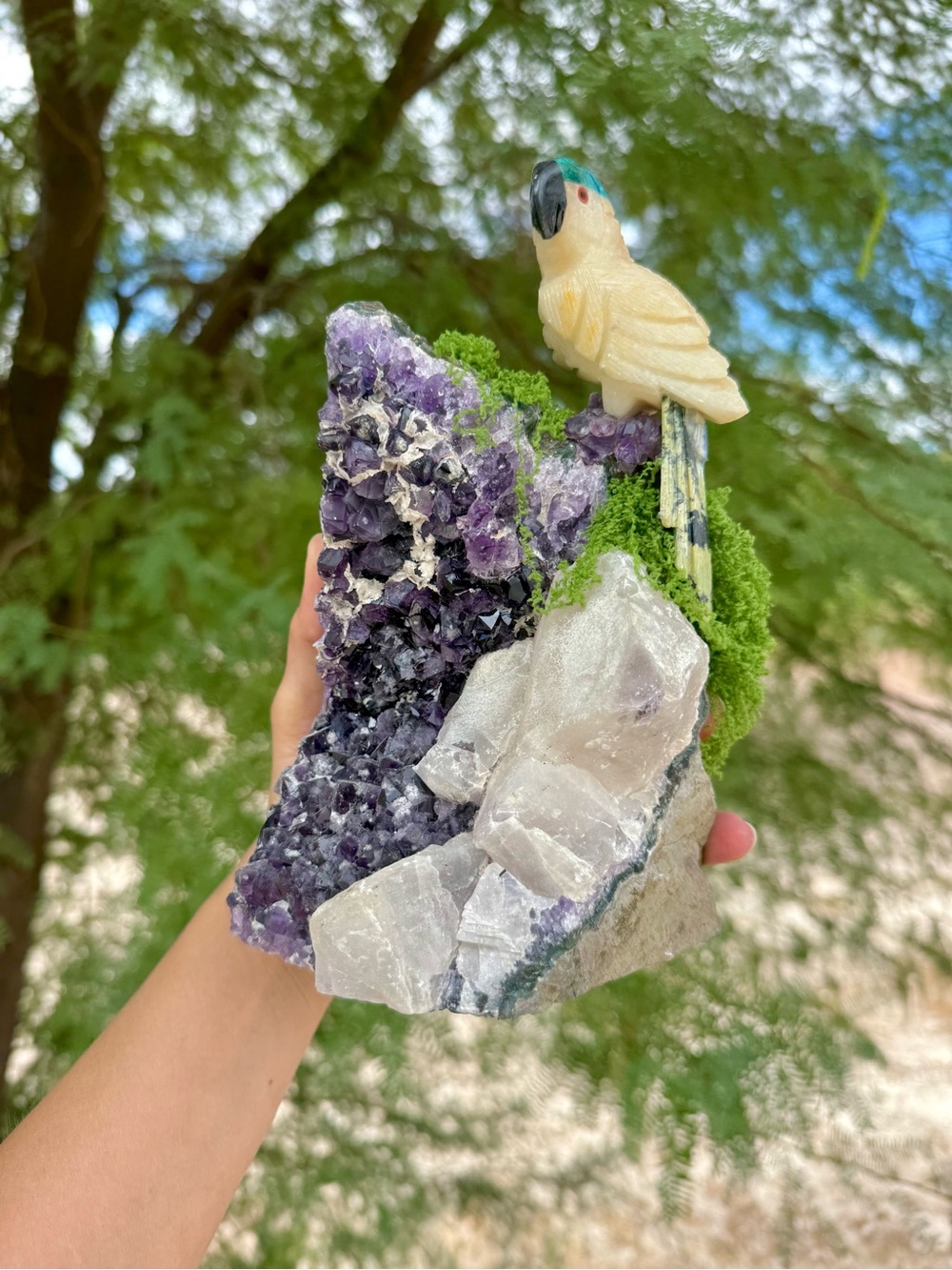 Parrot carving on Amethyst Cluster